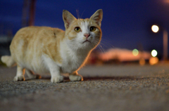 明日を見つめる