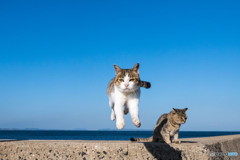 飛行隊、隊長さん