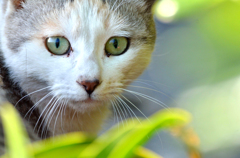 びっくりした？