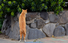 なにかあるのかな？