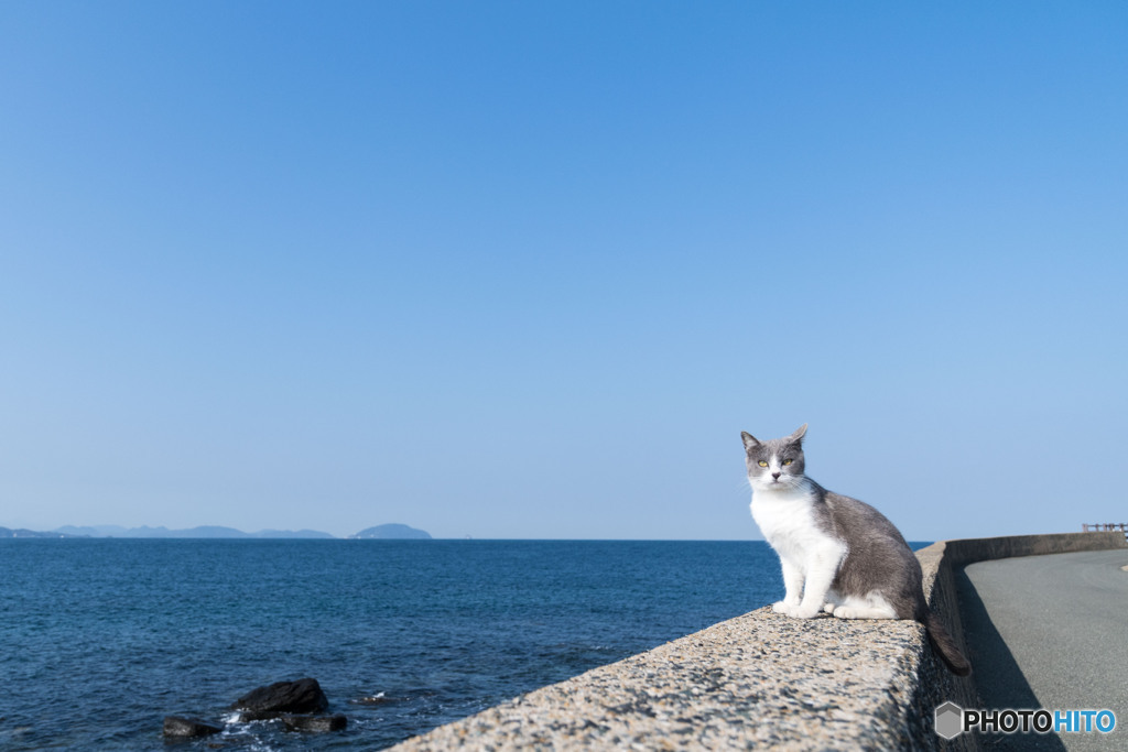 春の海、春の空