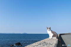 春の海、春の空