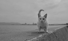 ふんばってます