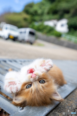 遊ぼ