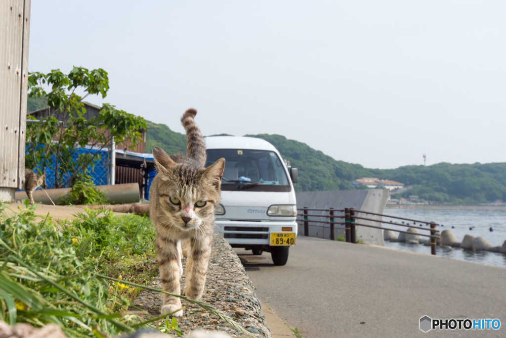 うにゃにゃ～～