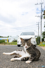 台風接近中。明日来るよ。用心してにゃ。