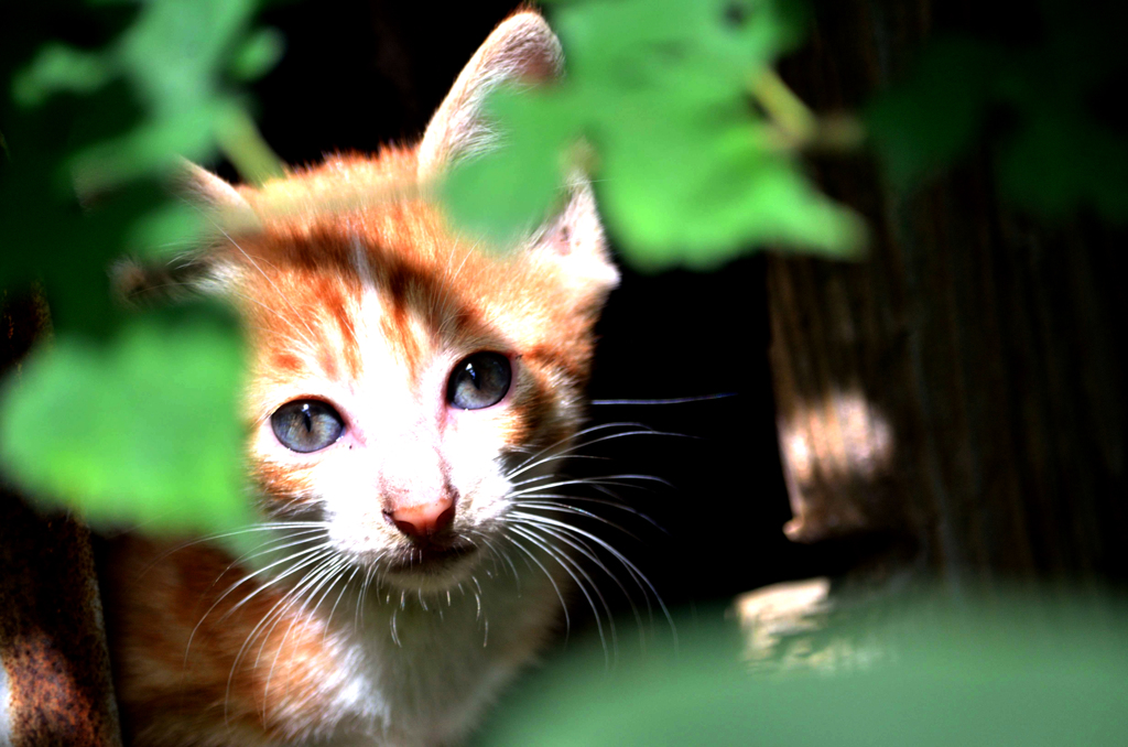 ふー・・・暑いよね