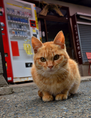 タバコ屋の前で