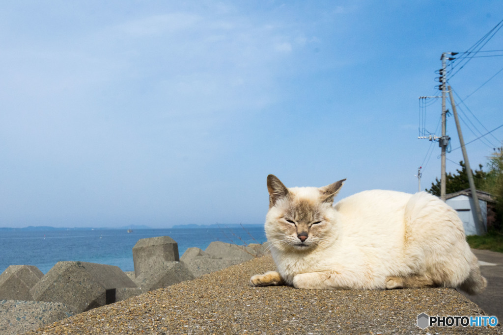 心地よい海辺