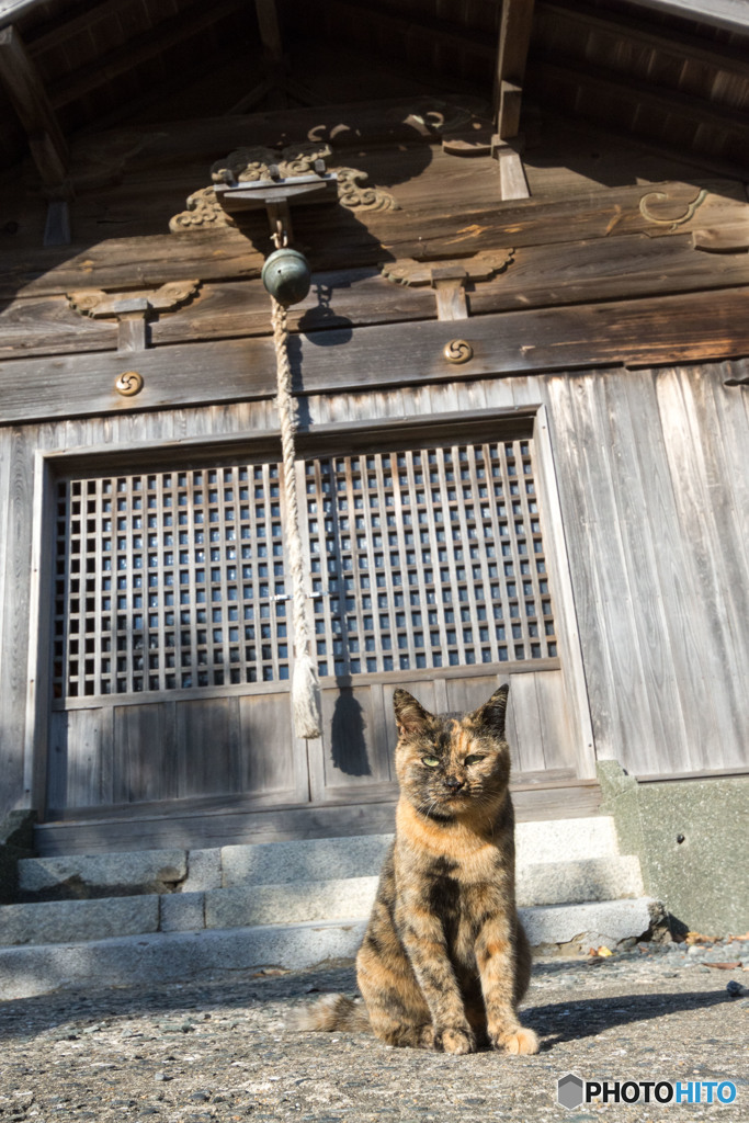 神社でパチリ
