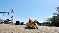 位置について・・・・