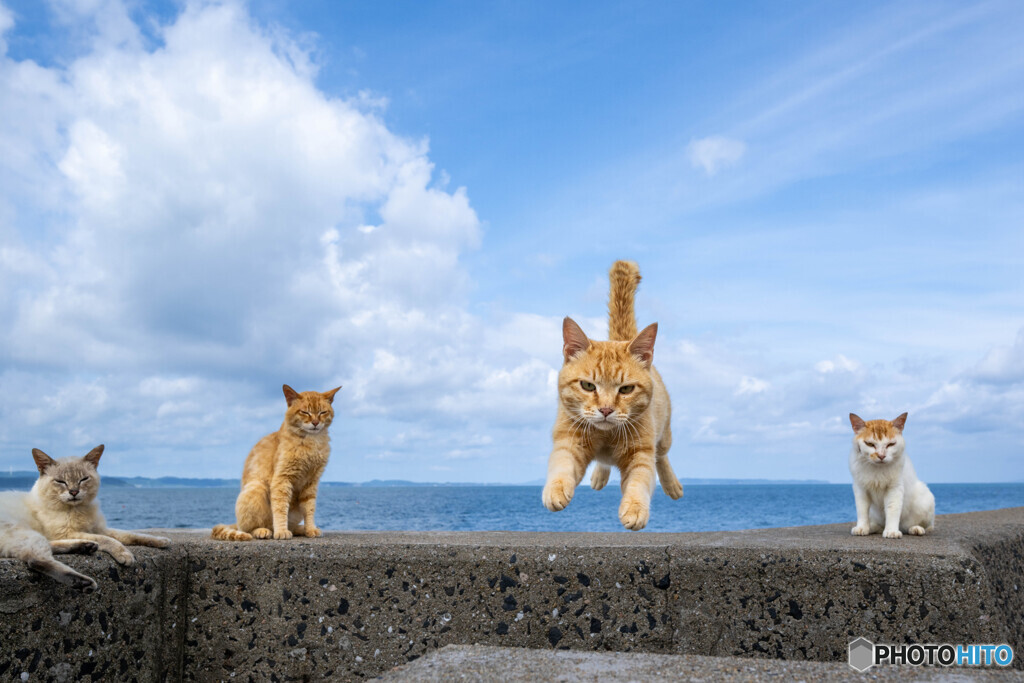 夏空にピョン