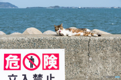 危険なとこ