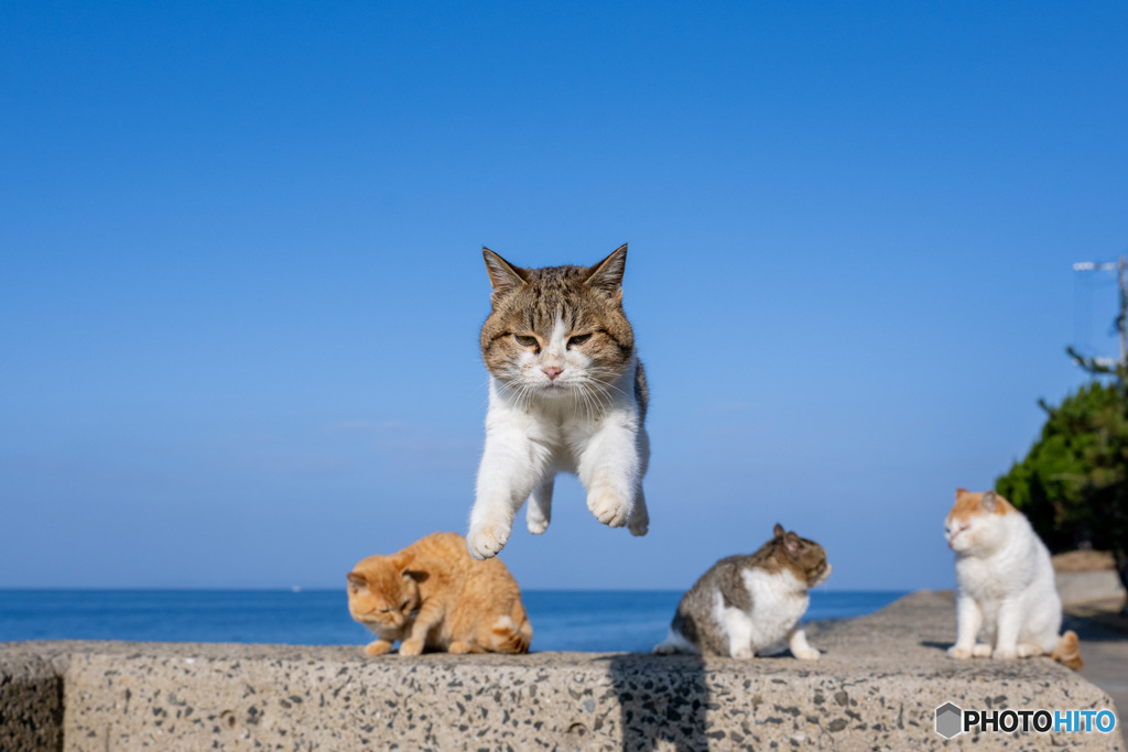 よいしょっと！