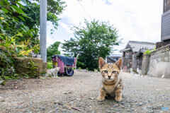 昨日は大雨やったよ