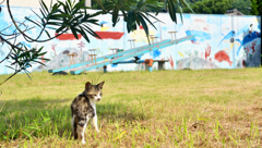 僕の公園