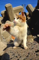 右フック！