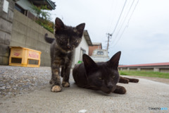 お～