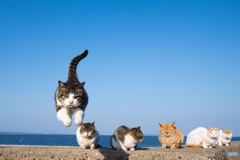 3月もゴーです
