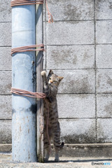 立ってみる