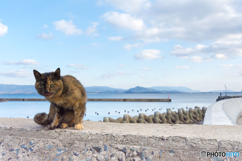 プリサビ海岸