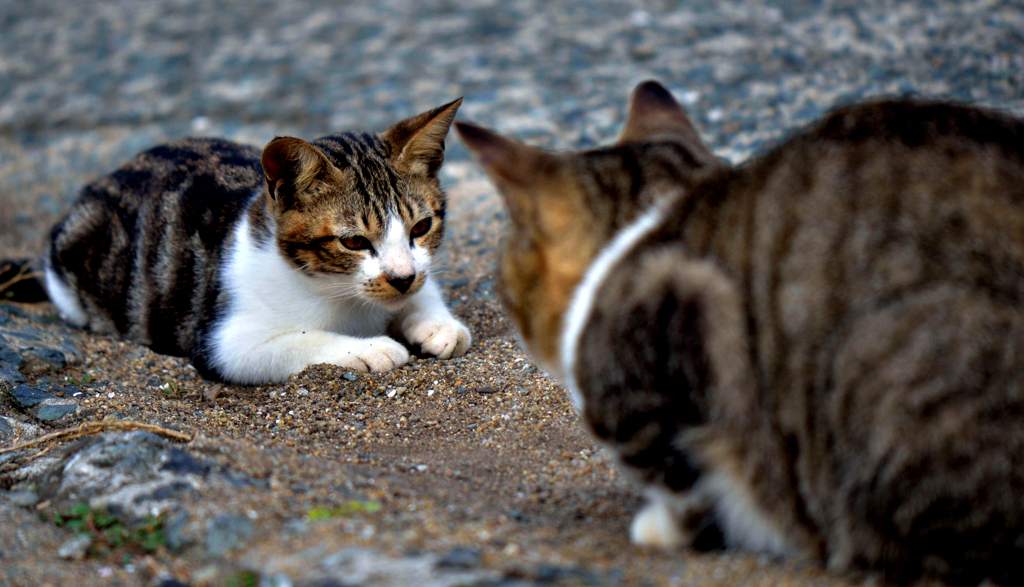 和やかにいきましょう