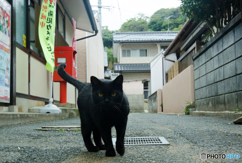 クロネコ郵便局員