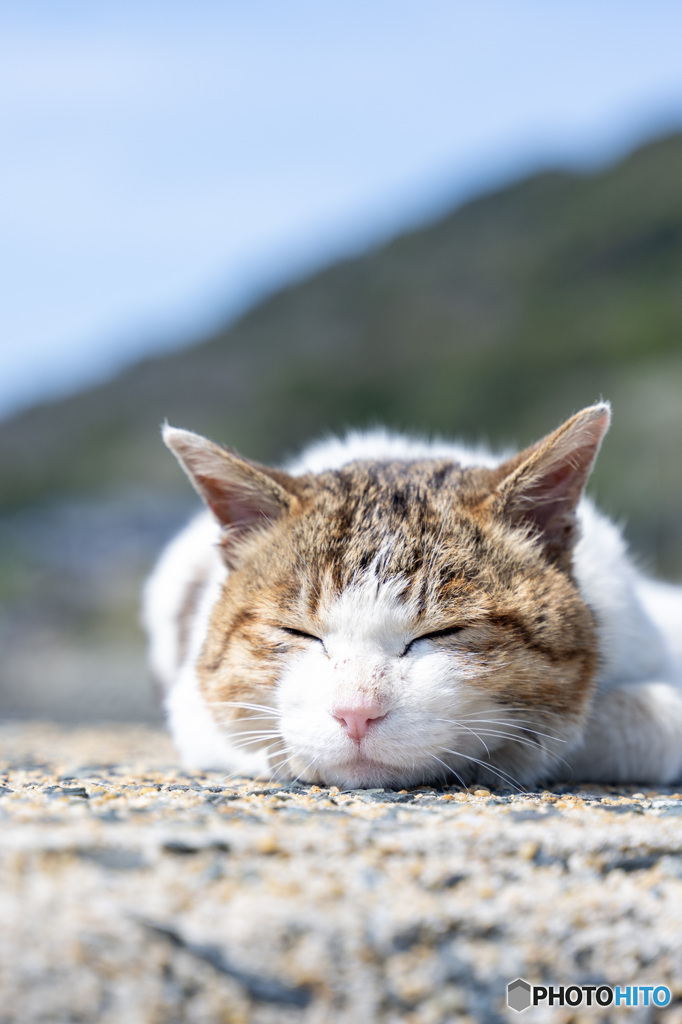 すぴ～～