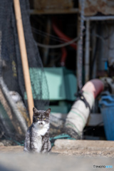 社長さんのご子息