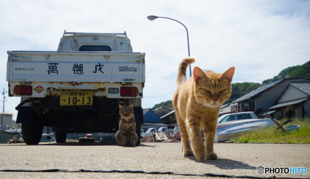 ついて来い～～～