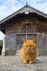 神社でアニキと出会う