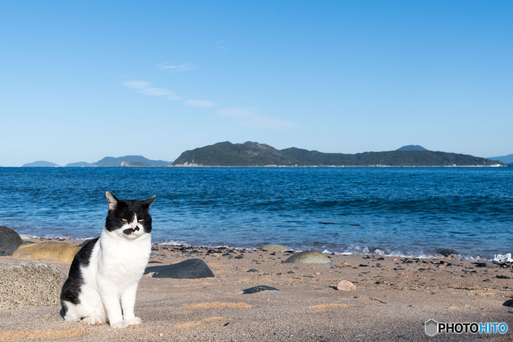 秋の海岸で