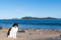秋の海岸で