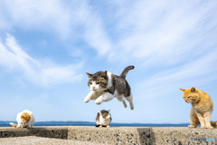 ひらりとね