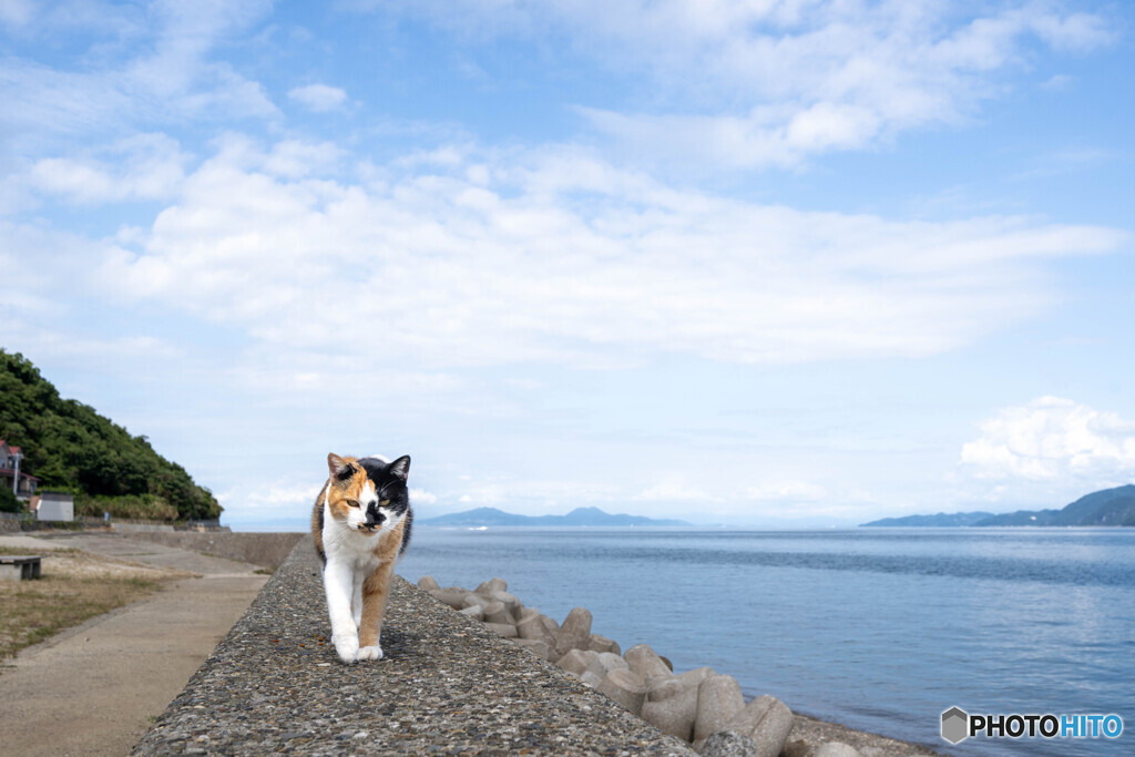 海辺をお散歩。潮騒を聞きながら。