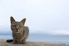 曇天でんねん