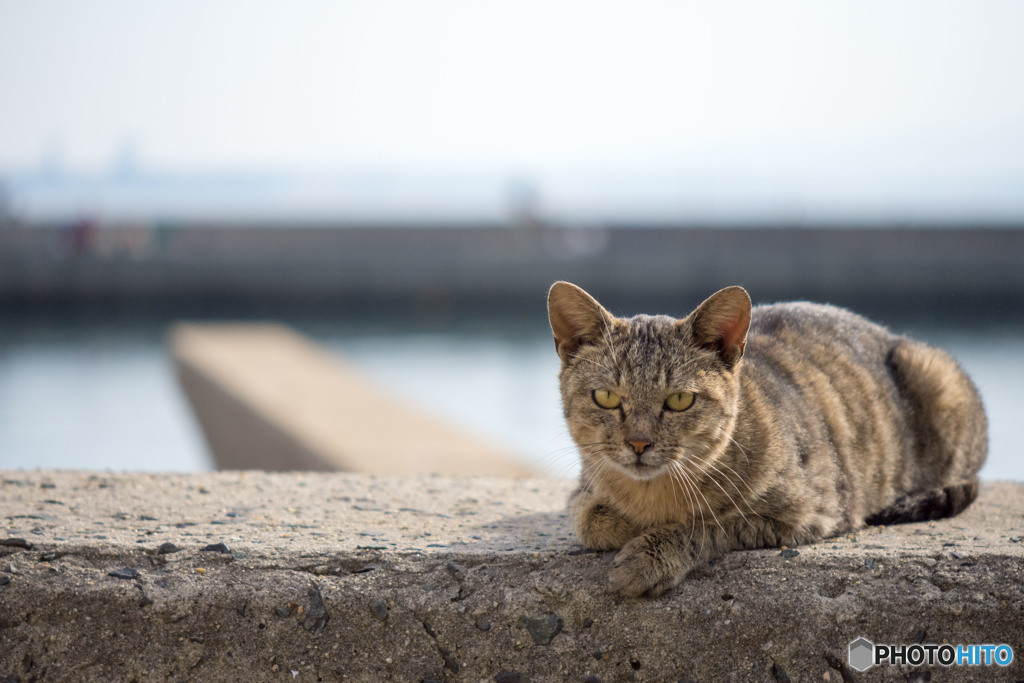 ふぅ・・・・