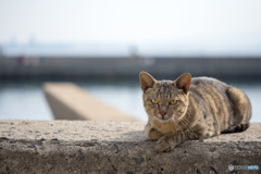 ふぅ・・・・
