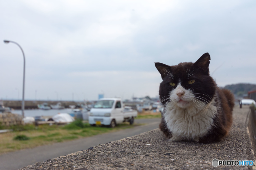 俺の縄張り