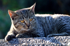 考え事してますか？