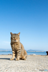 大沢くん。青空の下。