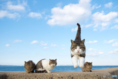 よいしょっとね