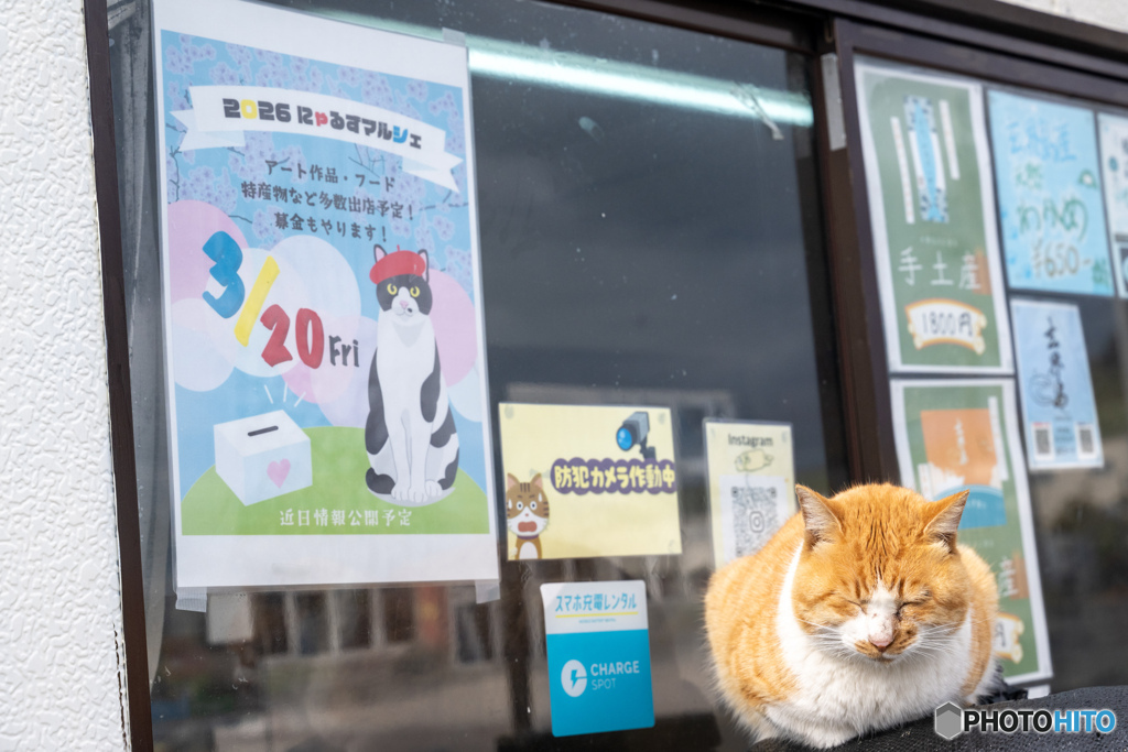 宣伝部長はとっても眠たい