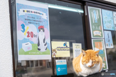 宣伝部長はとっても眠たい