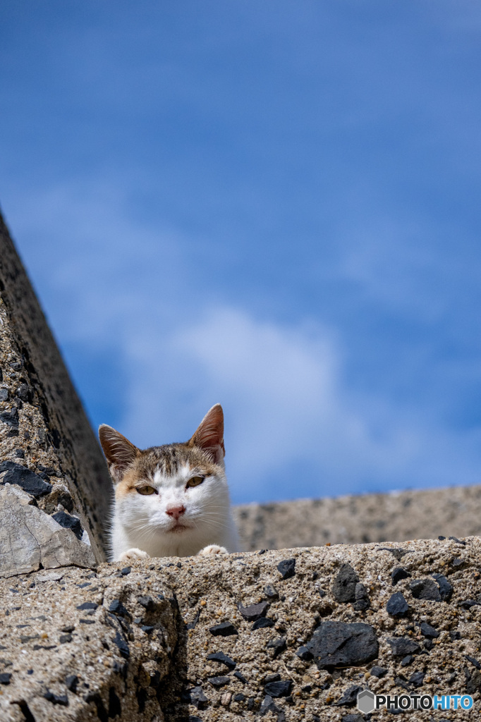 お母ちゃんです