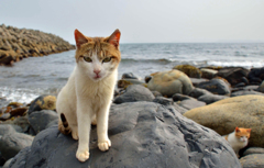 今日は黄砂がひどいです