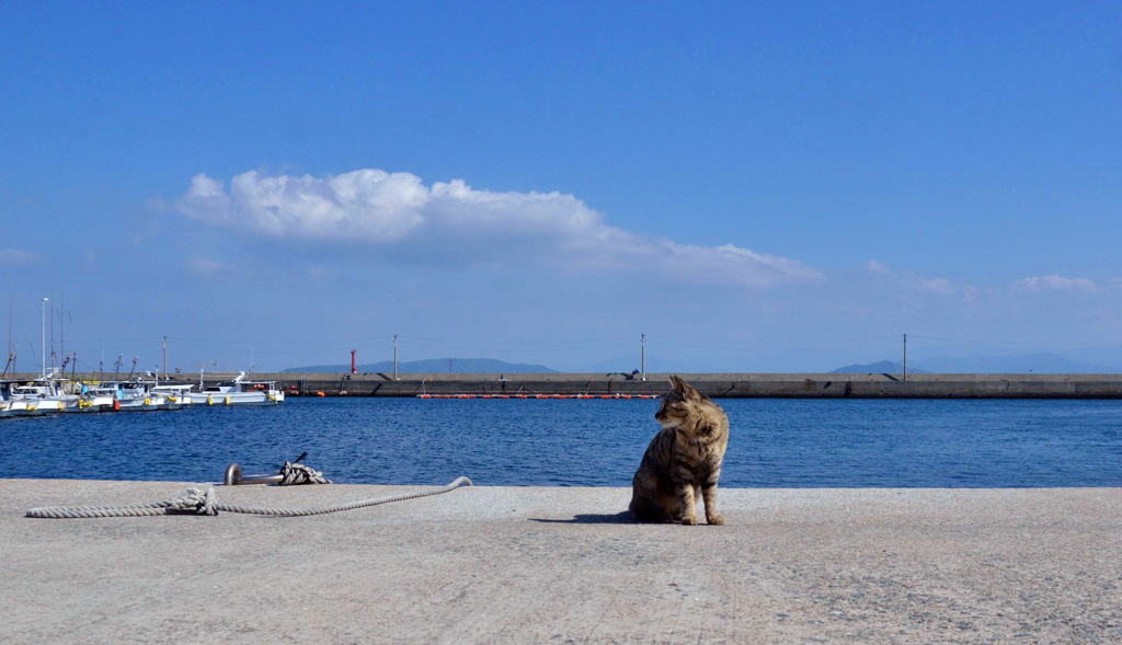 いい天気だな～