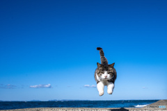 やっは～