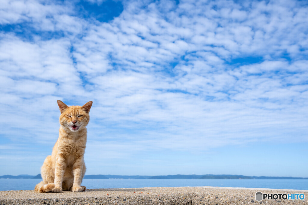 笑いたくなるほど暑いのねん