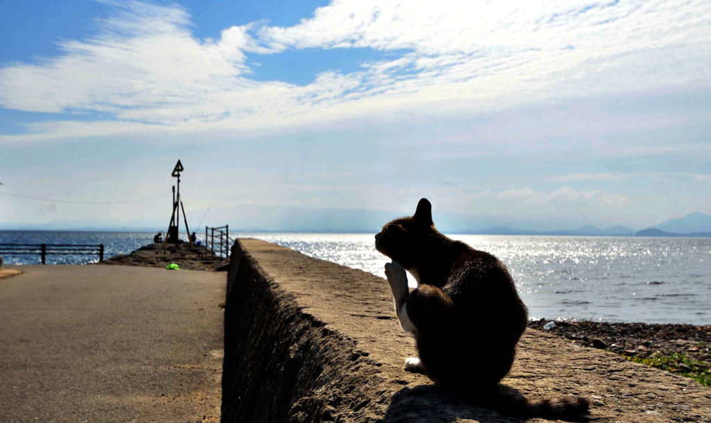 海辺でカキカキ(*^^)v
